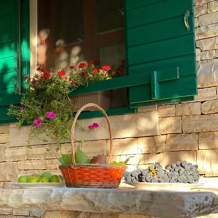 Stone Holiday Homes Stankovci With Pool And Mediterranean Gardens Exterior photo