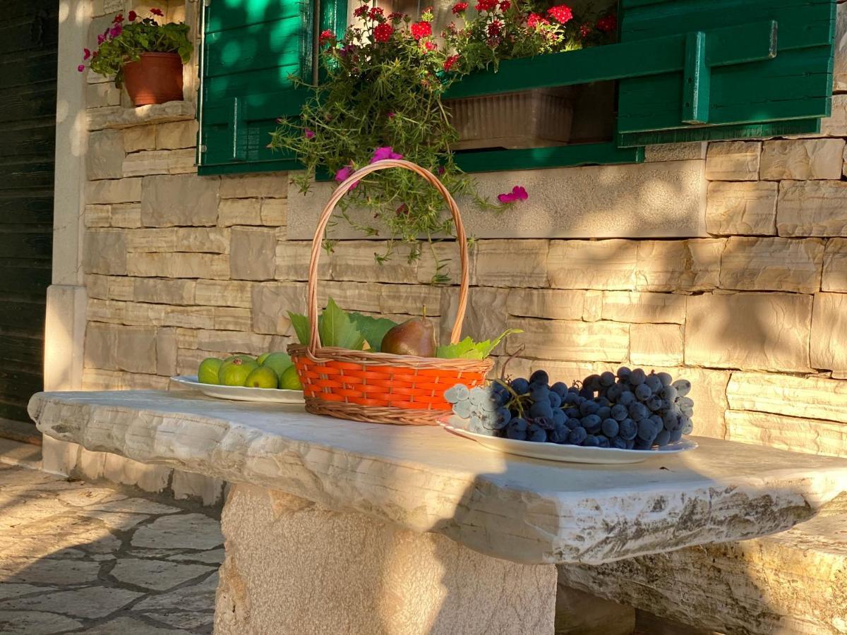 Stone Homes Stankovci With Pool And Mediterranean Gardens Villa *