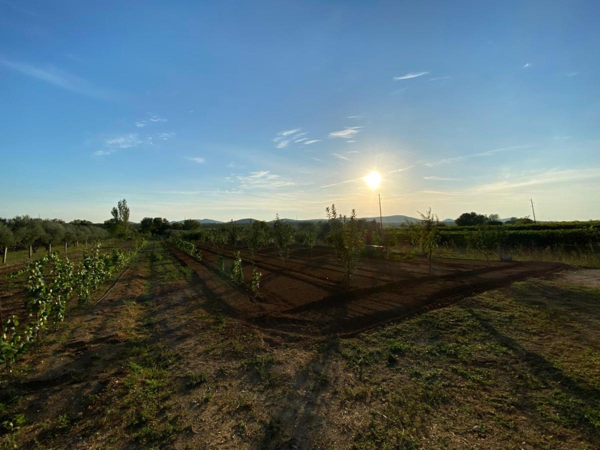Stone Homes Stankovci With Pool And Mediterranean Gardens Villa Stankovci (Zadar)