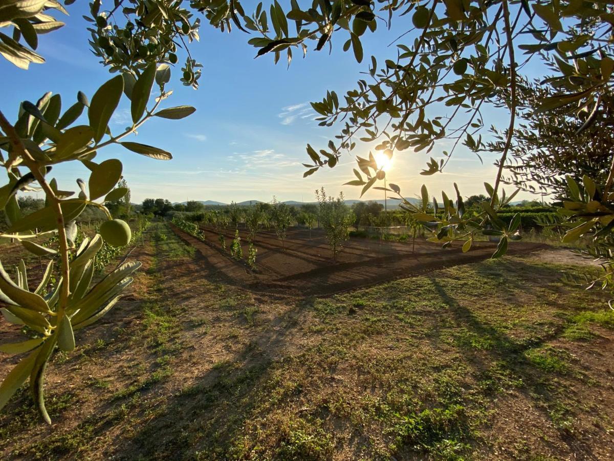 Stone Homes Stankovci With Pool And Mediterranean Gardens Villa Stankovci (Zadar)