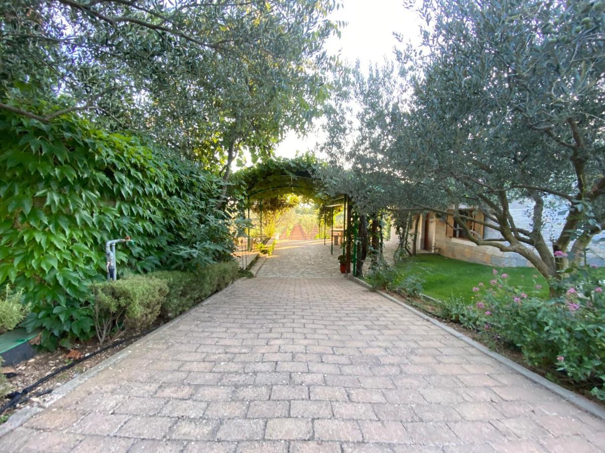 Stone Homes Stankovci With Pool And Mediterranean Gardens *
