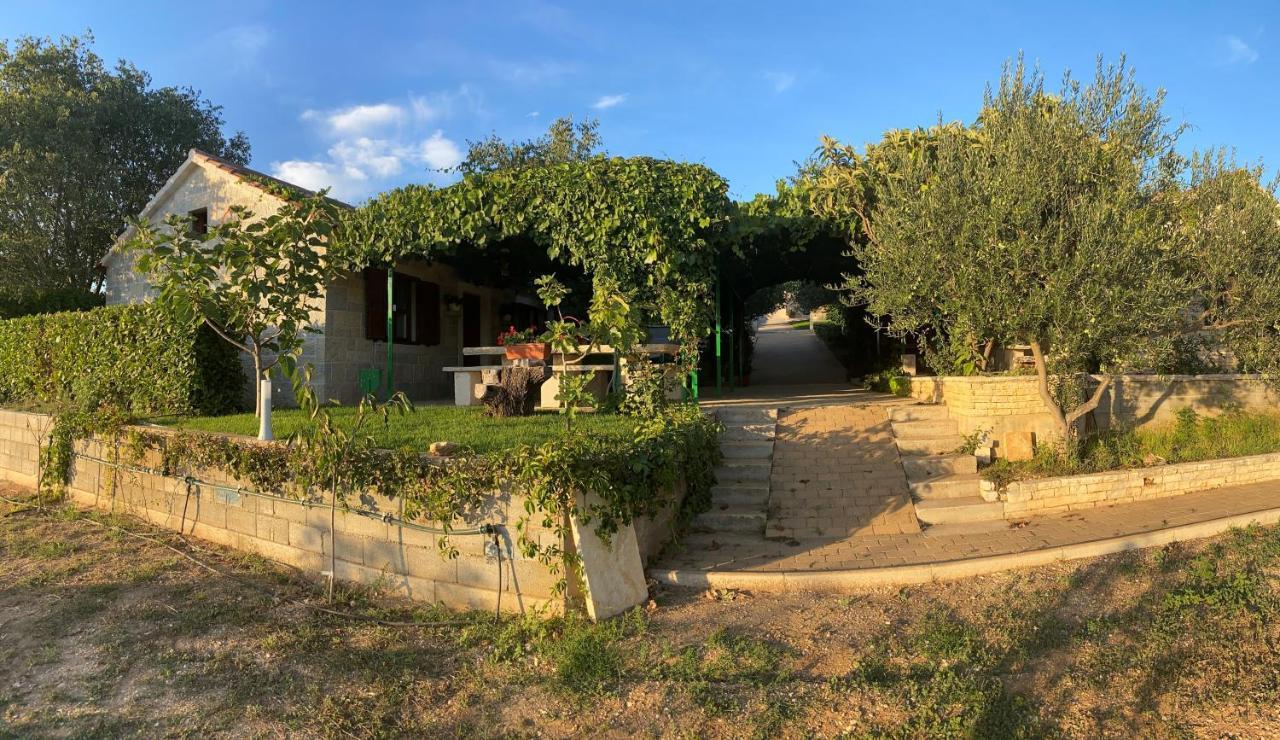 Stone Homes Stankovci With Pool And Mediterranean Gardens Villa *